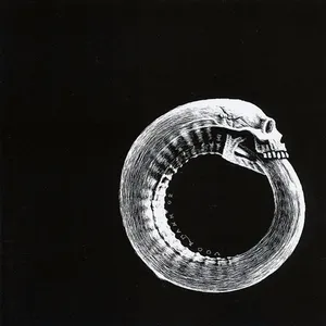 Scandinavian leather